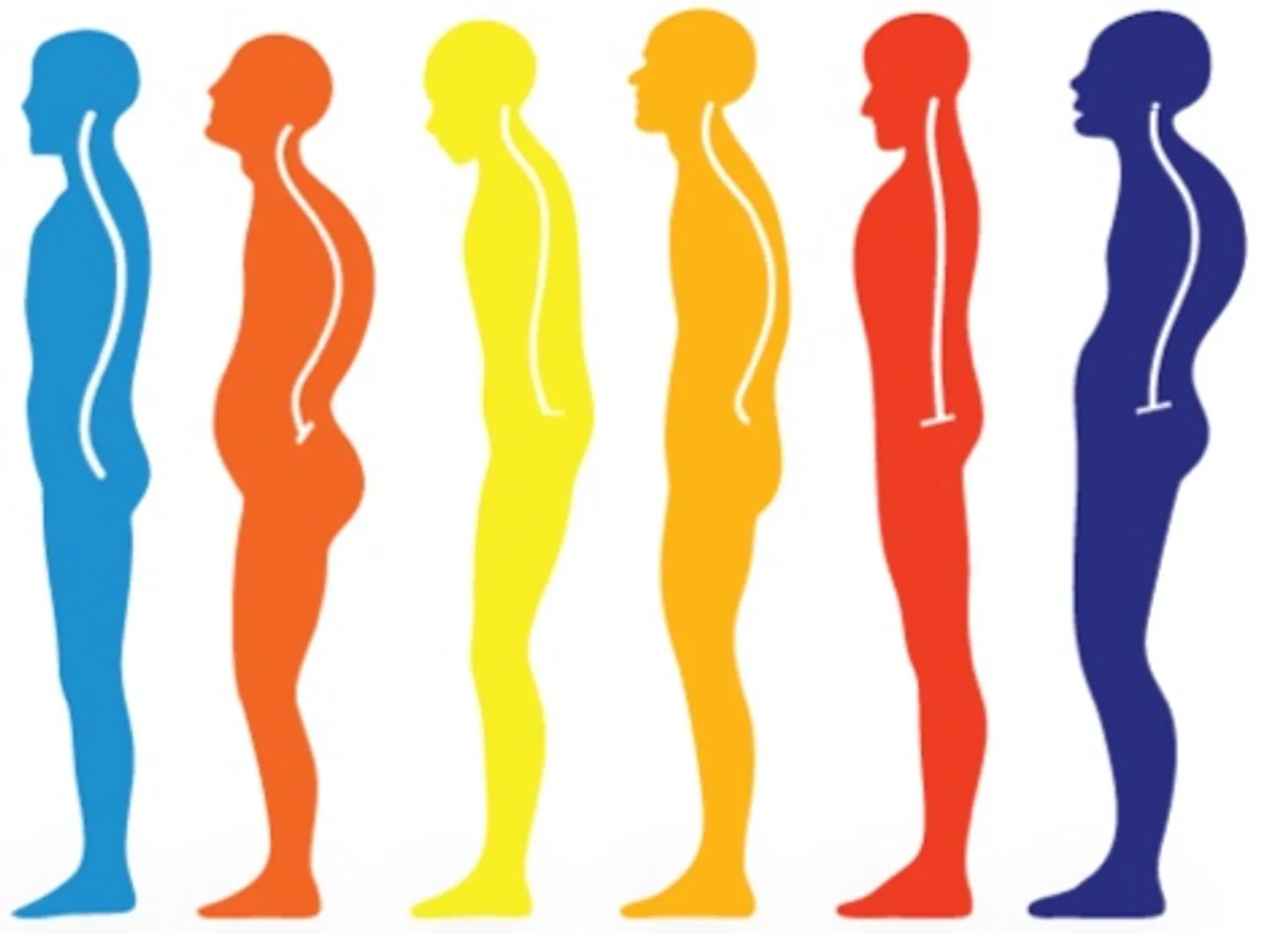 Postural analysis by Charbel Kortbawi, specialist osteopath in Paris 16.