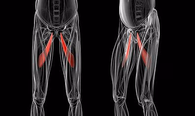 Traitement de la pubalgie à Paris 16