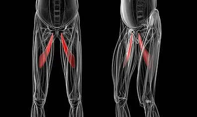 Treatment of pubalgia in Paris 16