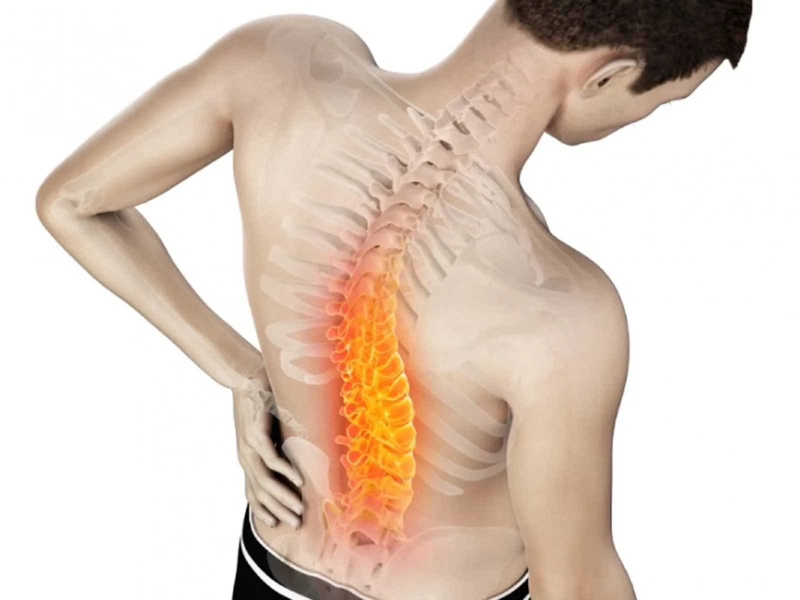 Douleur de dos eet ostéopathie, ostéopathe Paris 16