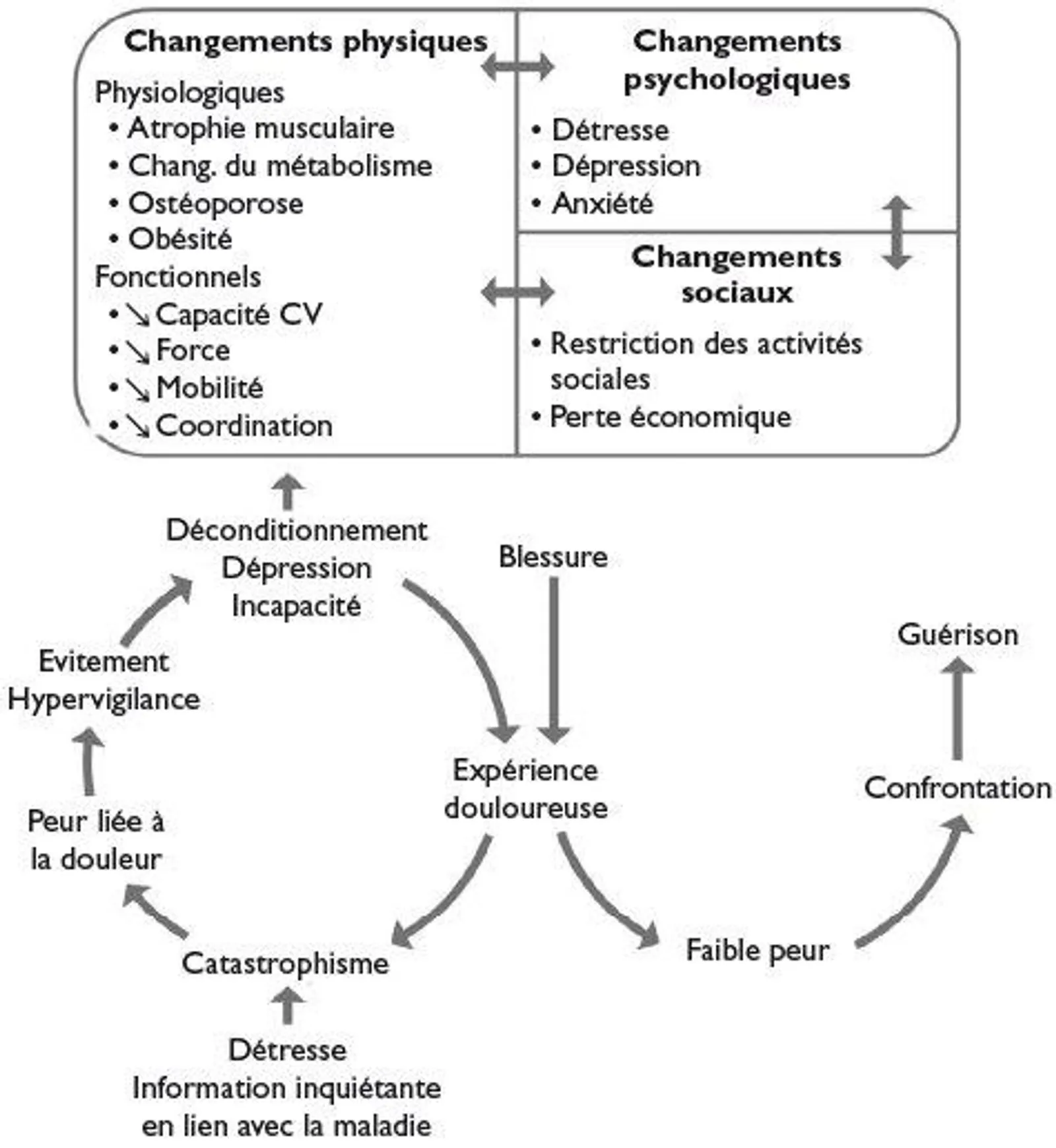 Facteurs de chronicité de la douleur du dos.