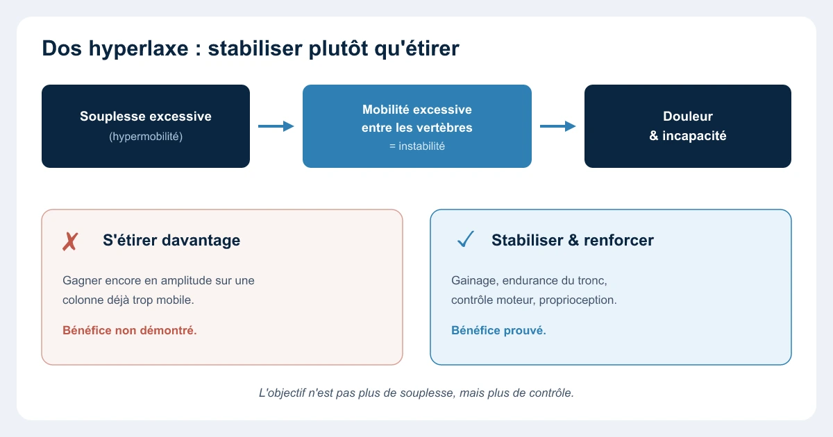 Dos hyperlaxe : l'excès de mouvement entre les vertèbres crée de l'instabilité et de la douleur ; la prise en charge vise à stabiliser et renforcer plutôt qu'à étirer — ostéopathe Paris 16