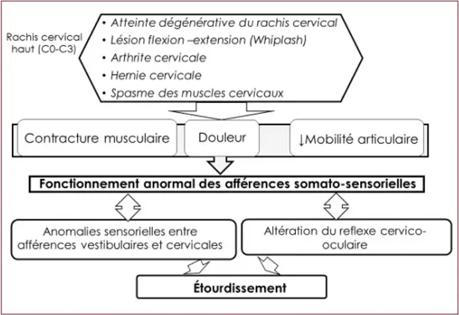 Mechanisms of vertigo or dizziness of cervical origin.