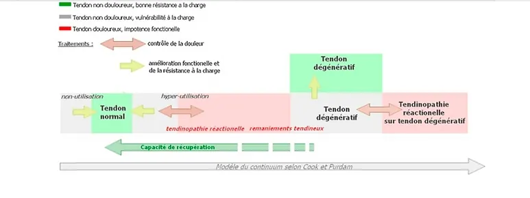 Mechanisms of tendinopathy onset