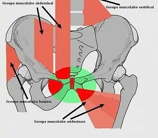 Athletic pubalgia