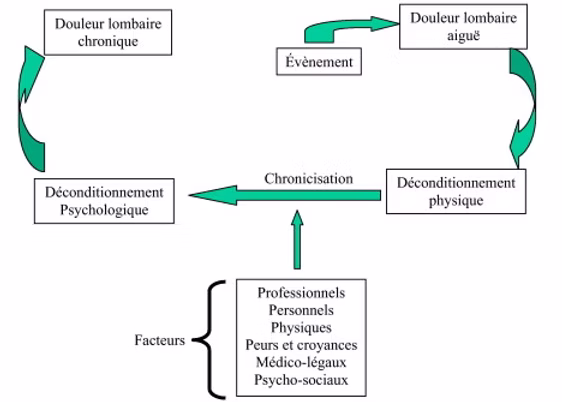 Chronicité douleur lombaire