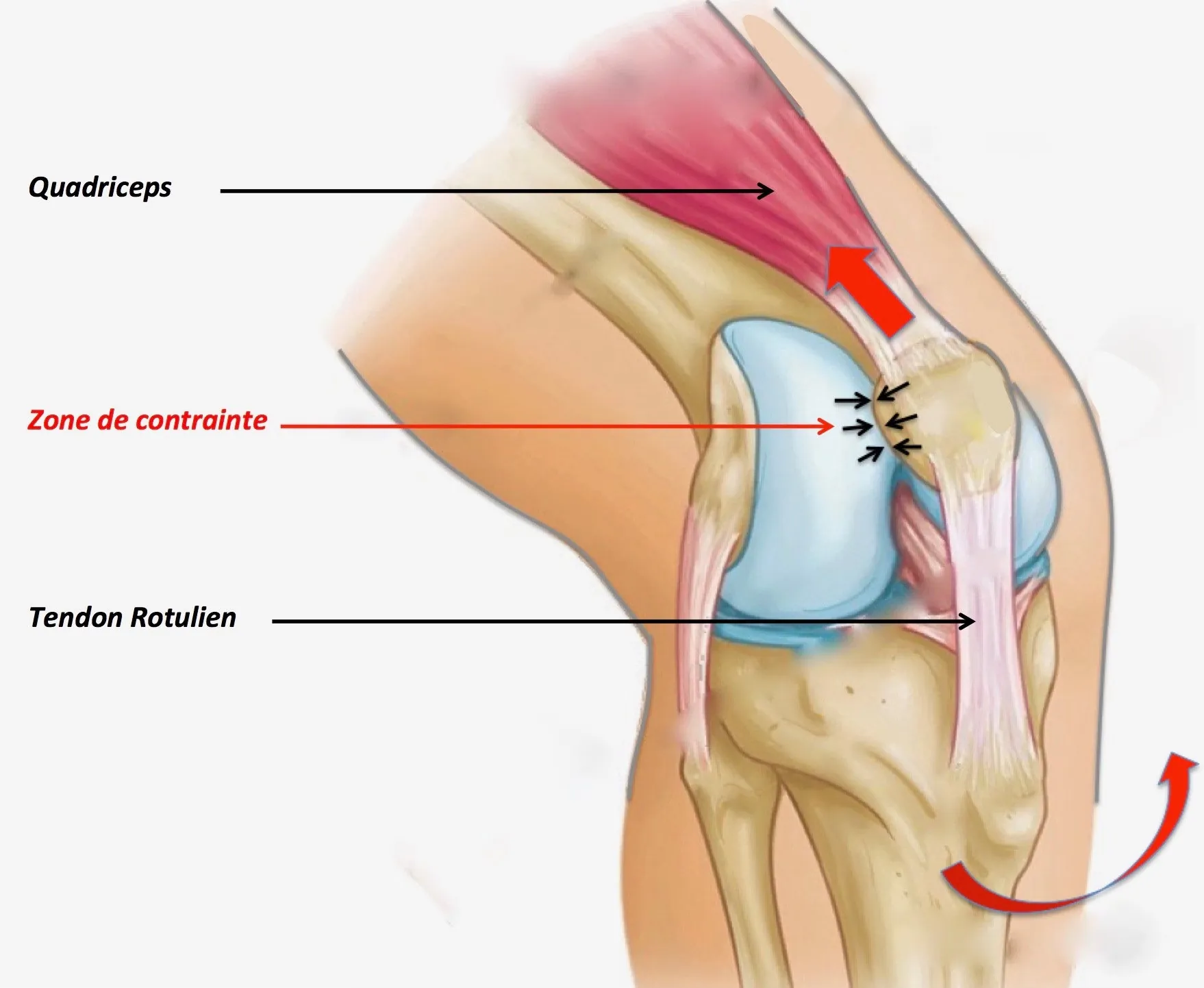 Patellofemoral syndrome, osteopath Paris 16